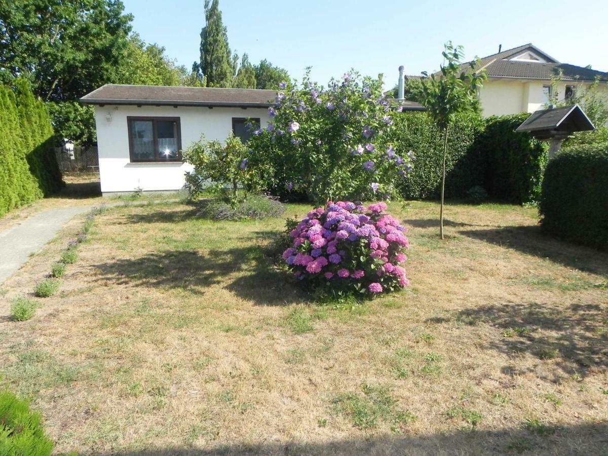 Bungalow _Carpe Diem_ Villa Heringsdorf  Exterior photo